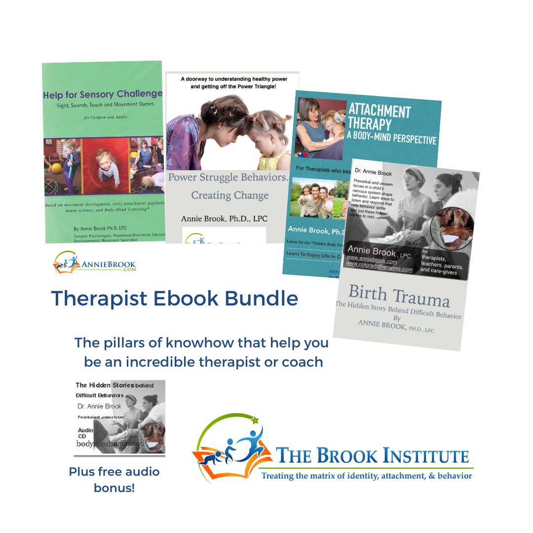 Therapy, sensory issues, Couples therapy, Behavioral therapy, Birth trauma, Adoption