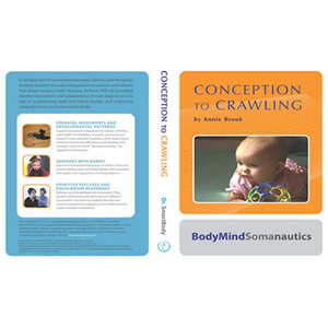 Image of From Conception to Crawling 3 DVD Set by Annie Brook
