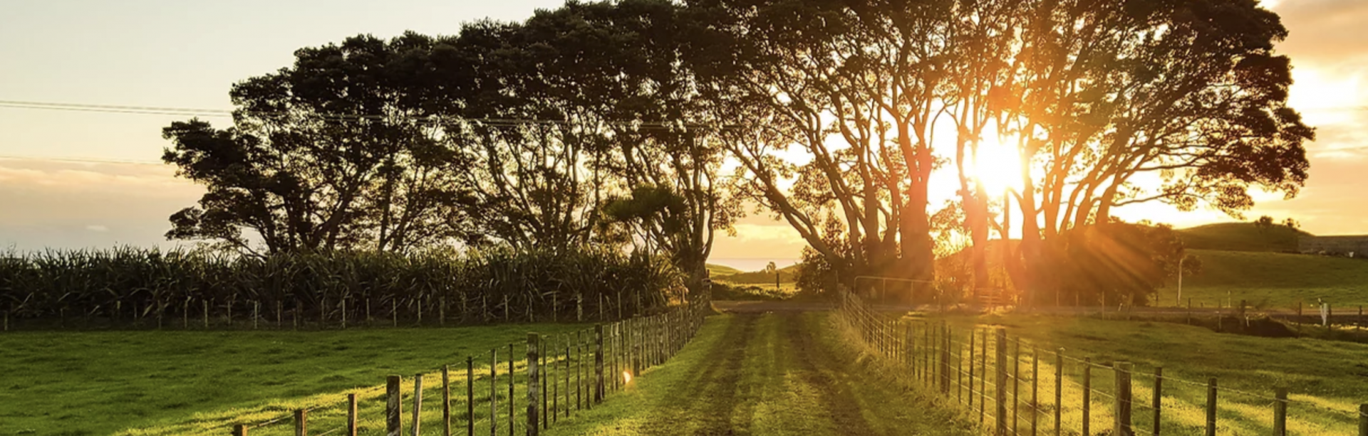 Crédit Photo : Le Coeur du Hérisson