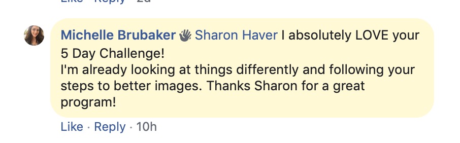 Testimonial from the 5 day branding photo challenge | Authentic Superstar