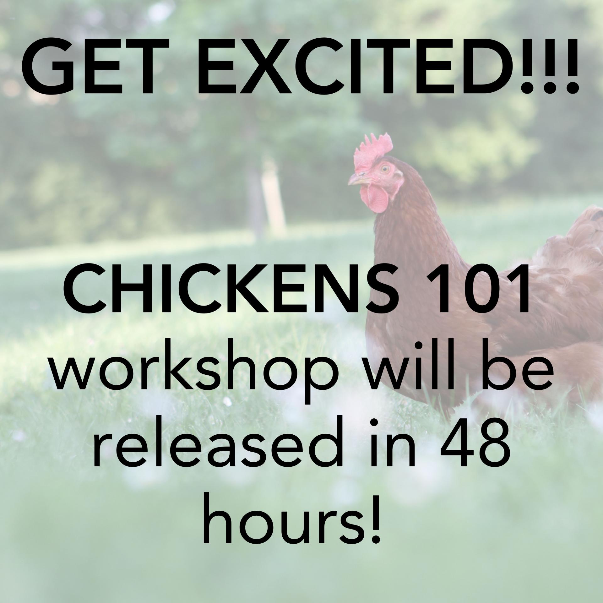 Poultry Planning, Chickens 101