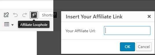 Insert Affiliate Link in WordPress blog post