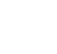 website wedding logo