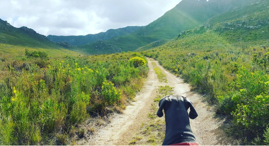 Kristen-Miller-Flaming-Silver-Give-Back-Forever