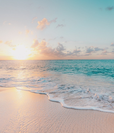 Sunshine Cremation Services