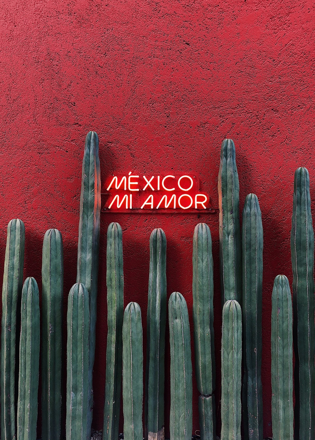 Méxtraño Piel de Nopal