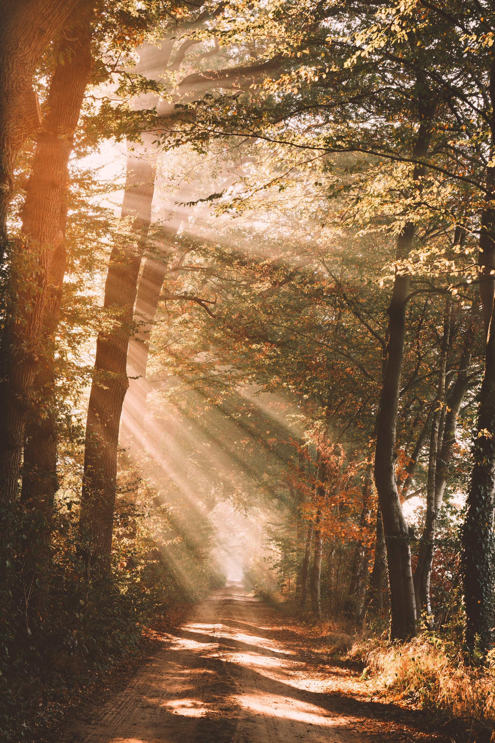 Years of confusion and pain resolved in one program