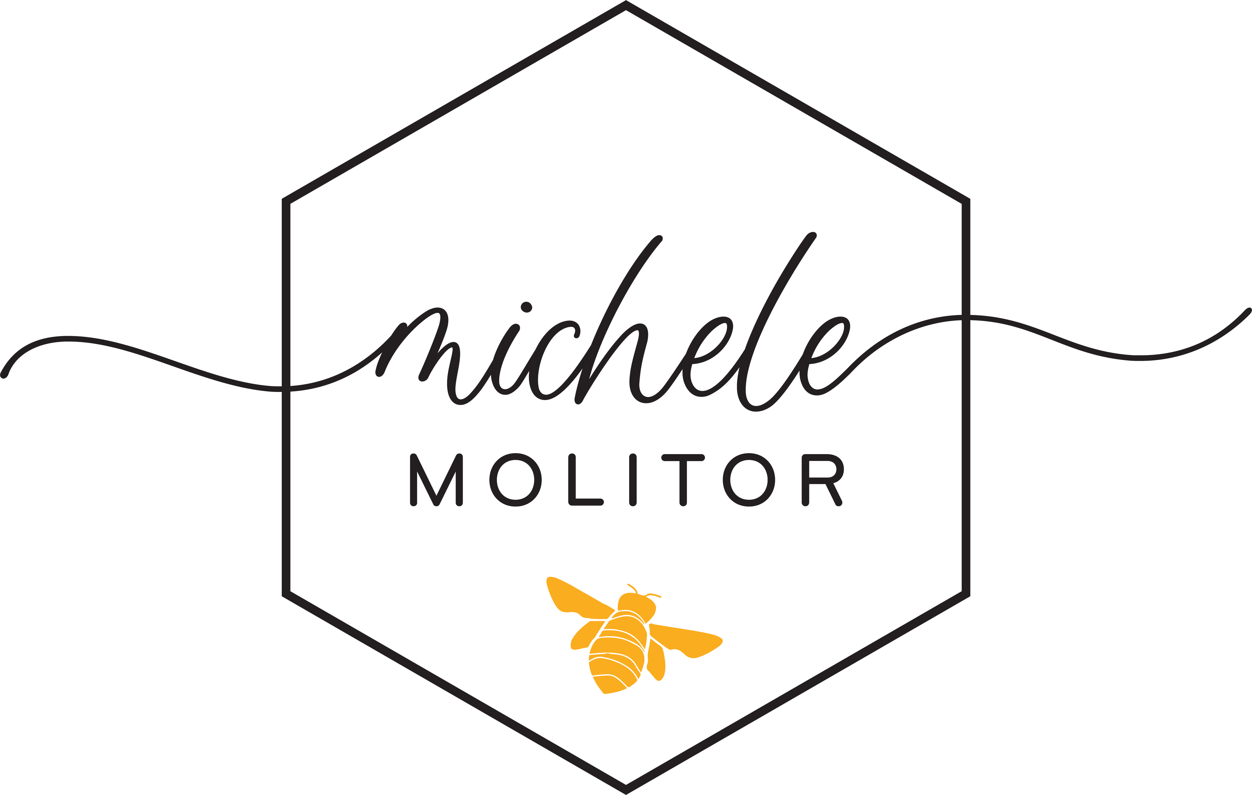 www.michelemolitor.com