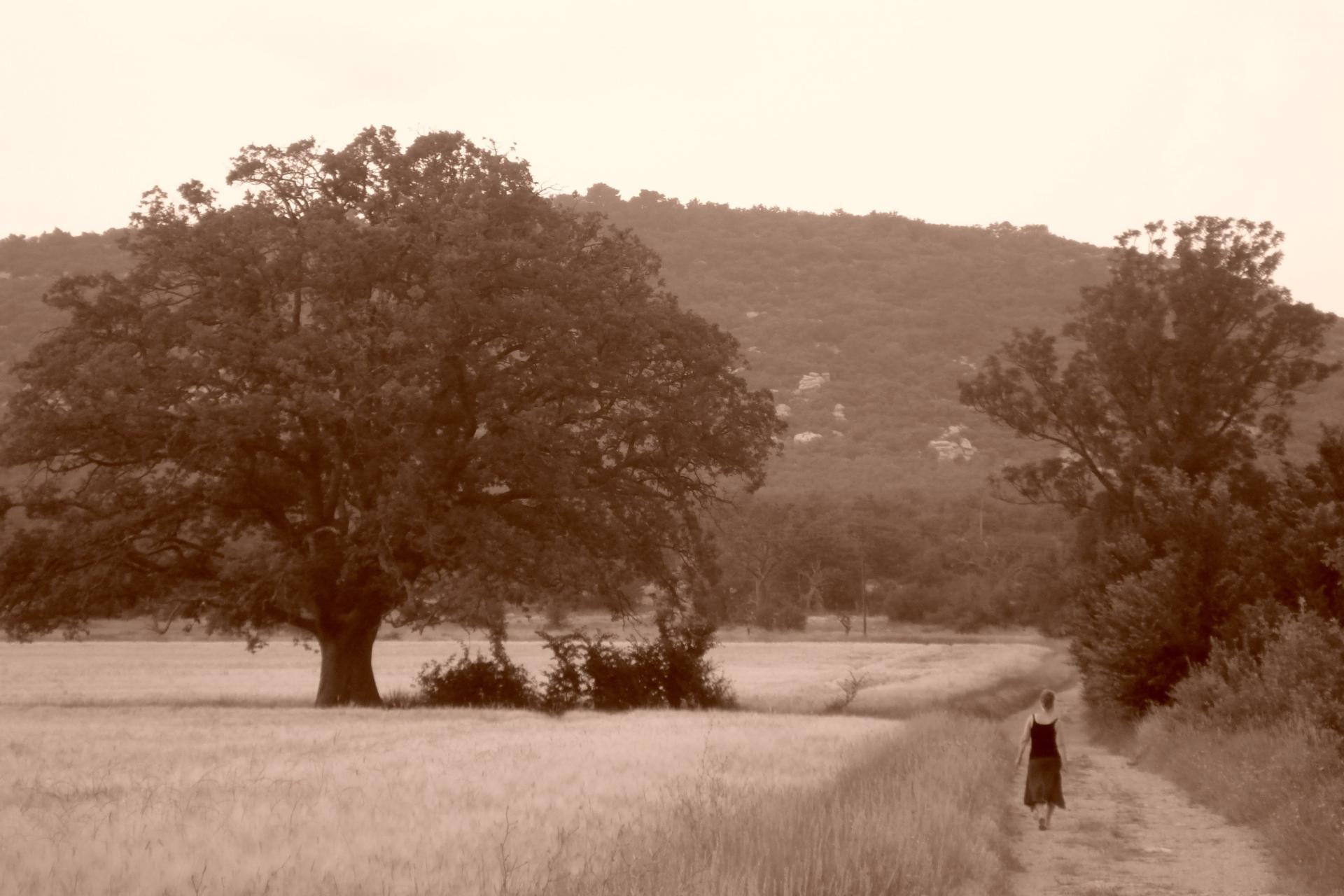Grotto of Mary Magdalene - Ste. Baume, Provence, France