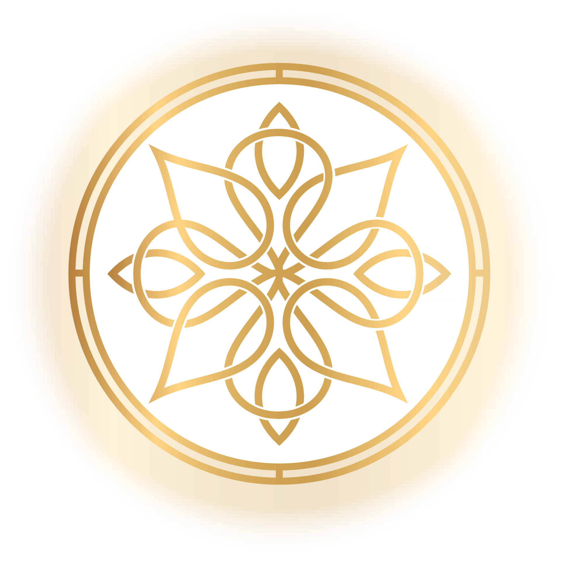 Randy Spelling Coaching For High Vibe Community