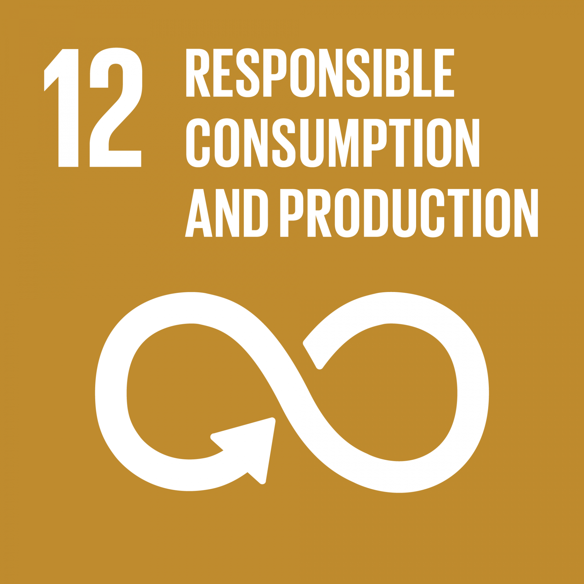 Responsible Consumption and Production - Global Goal 12