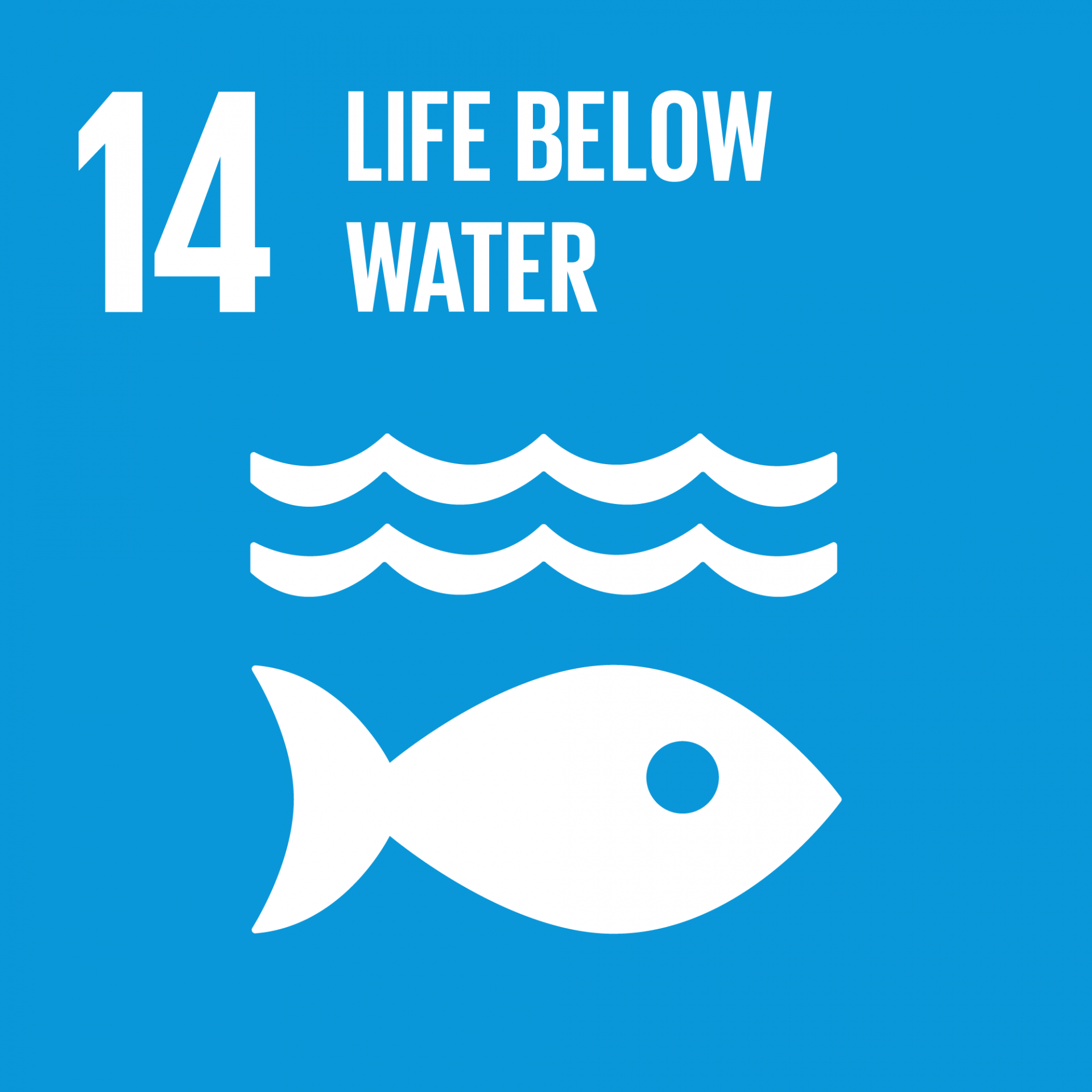 Life Below Water - Global Goal 14