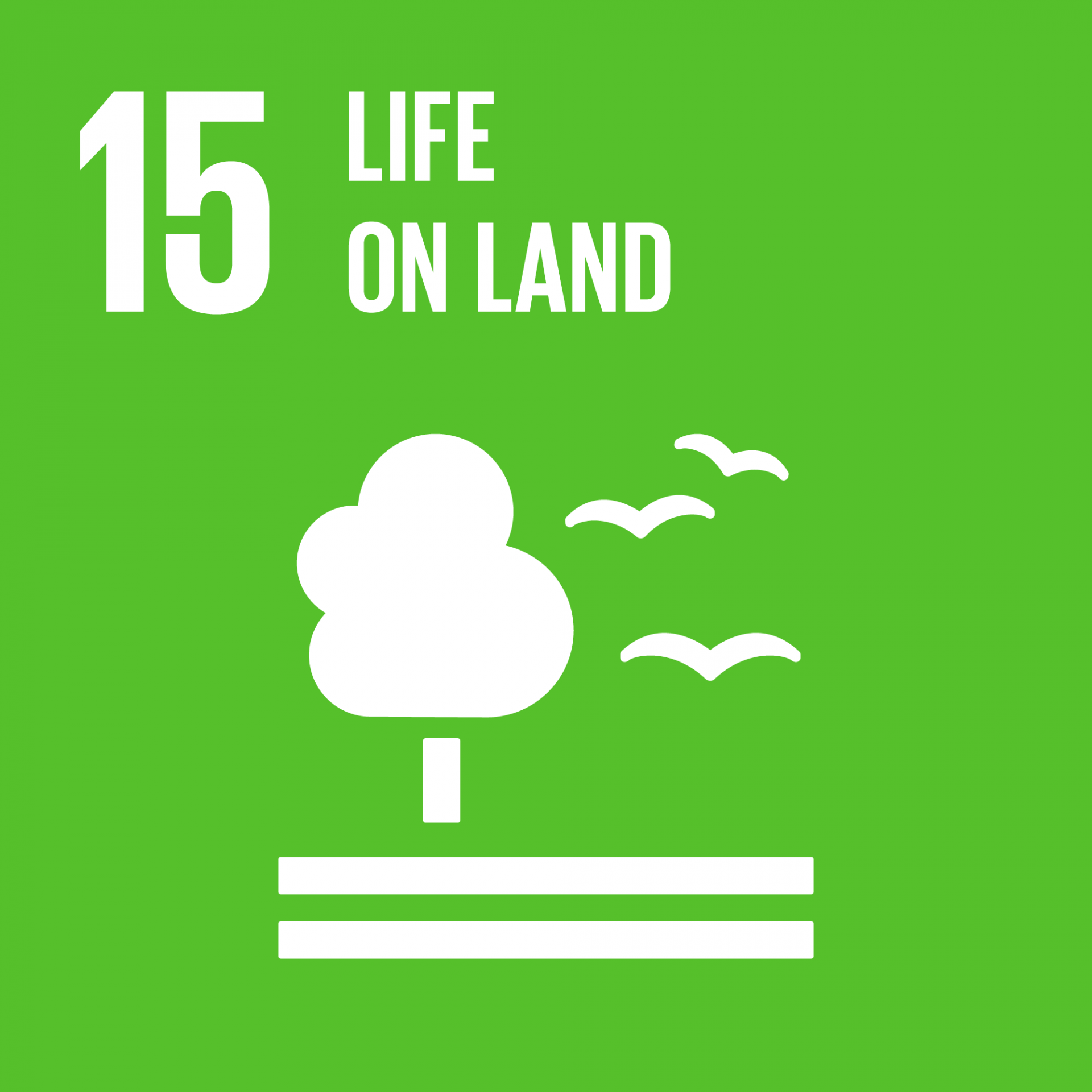 Life on Land - Global Goal 15
