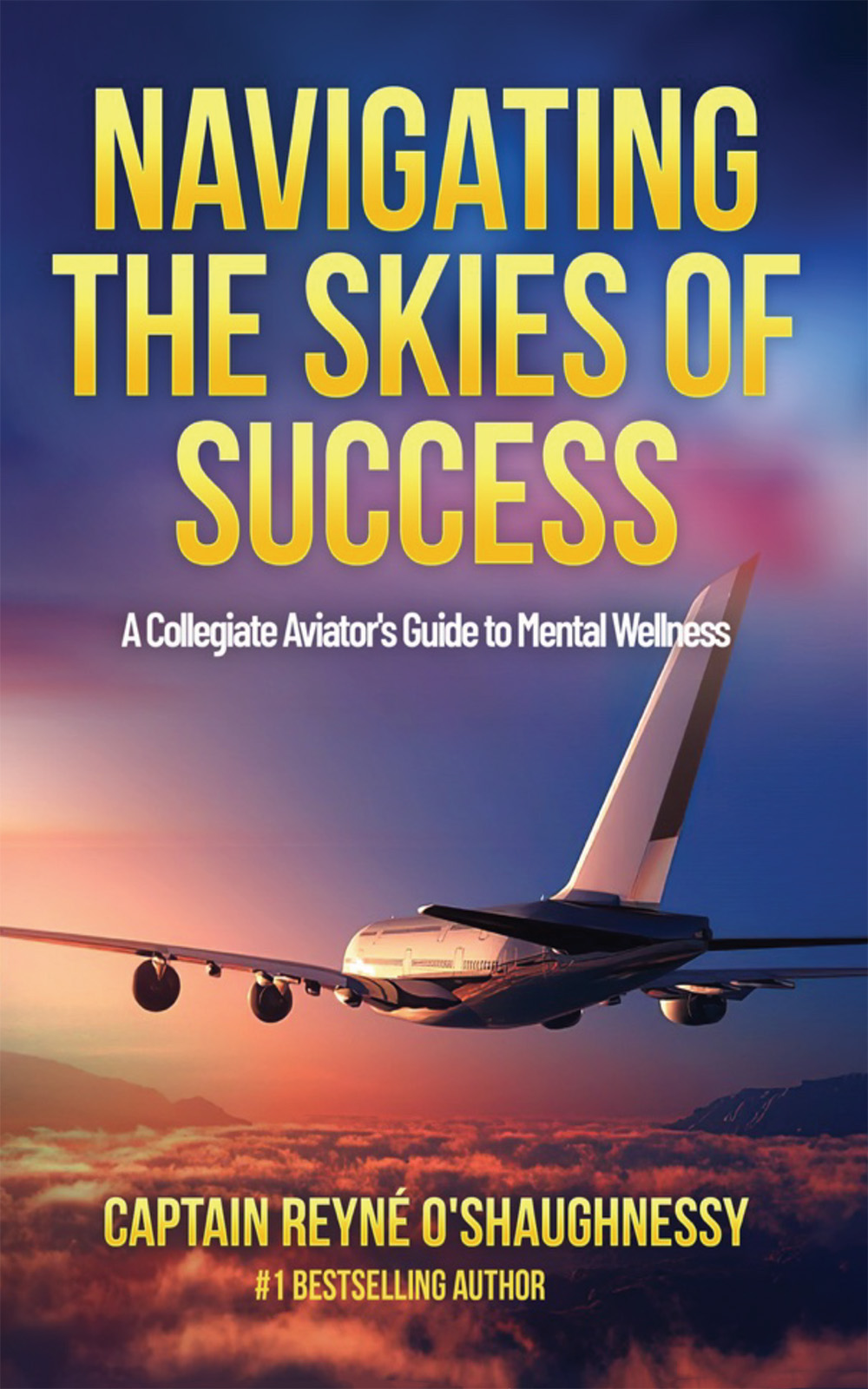 Navigating the Skies of Success