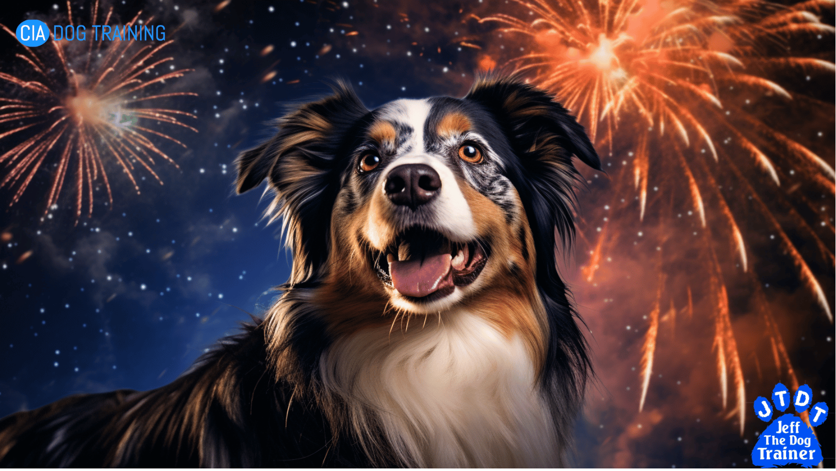 A blue french bulldog lying on a bed looking straight forward