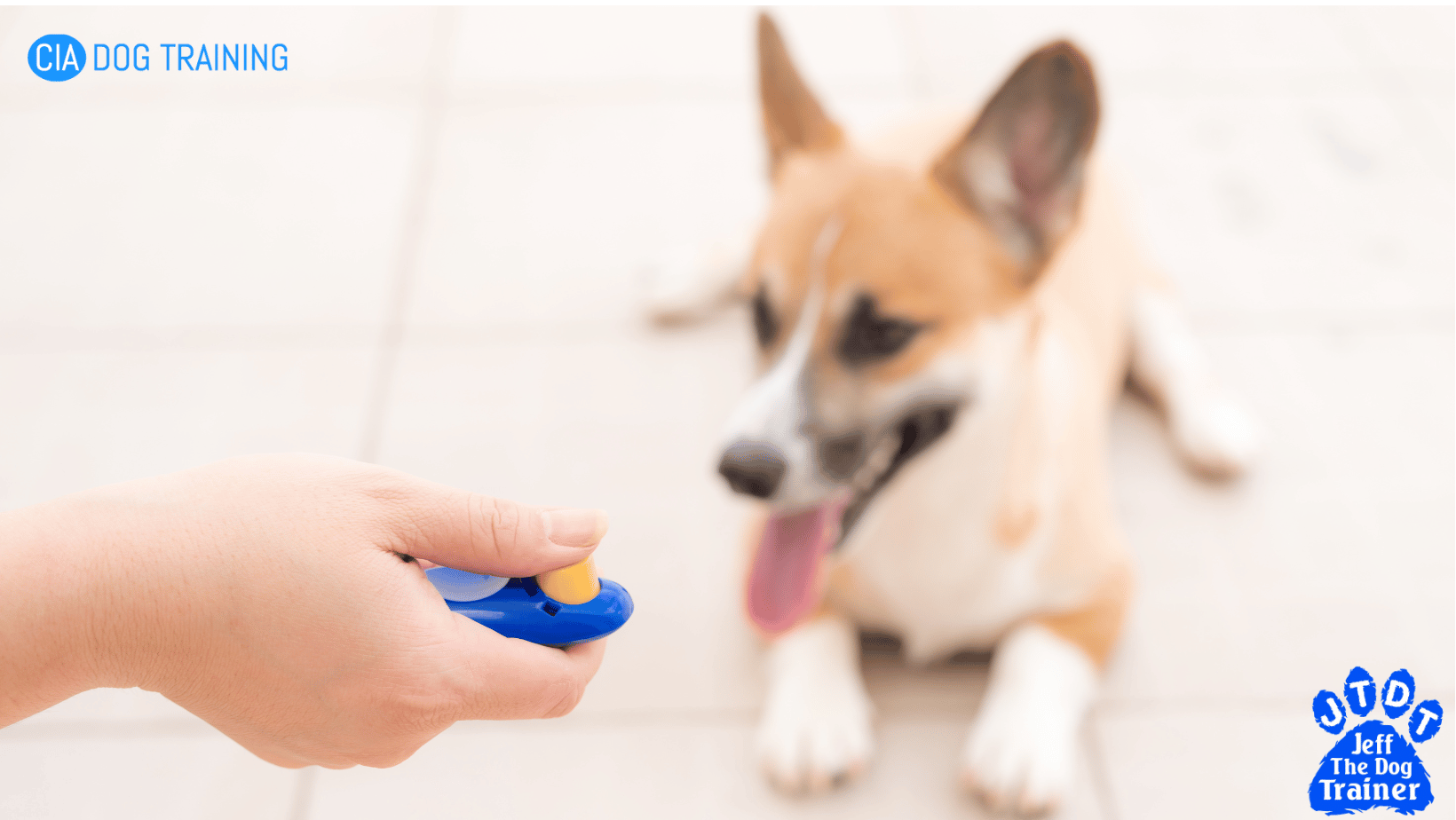 dog clicker