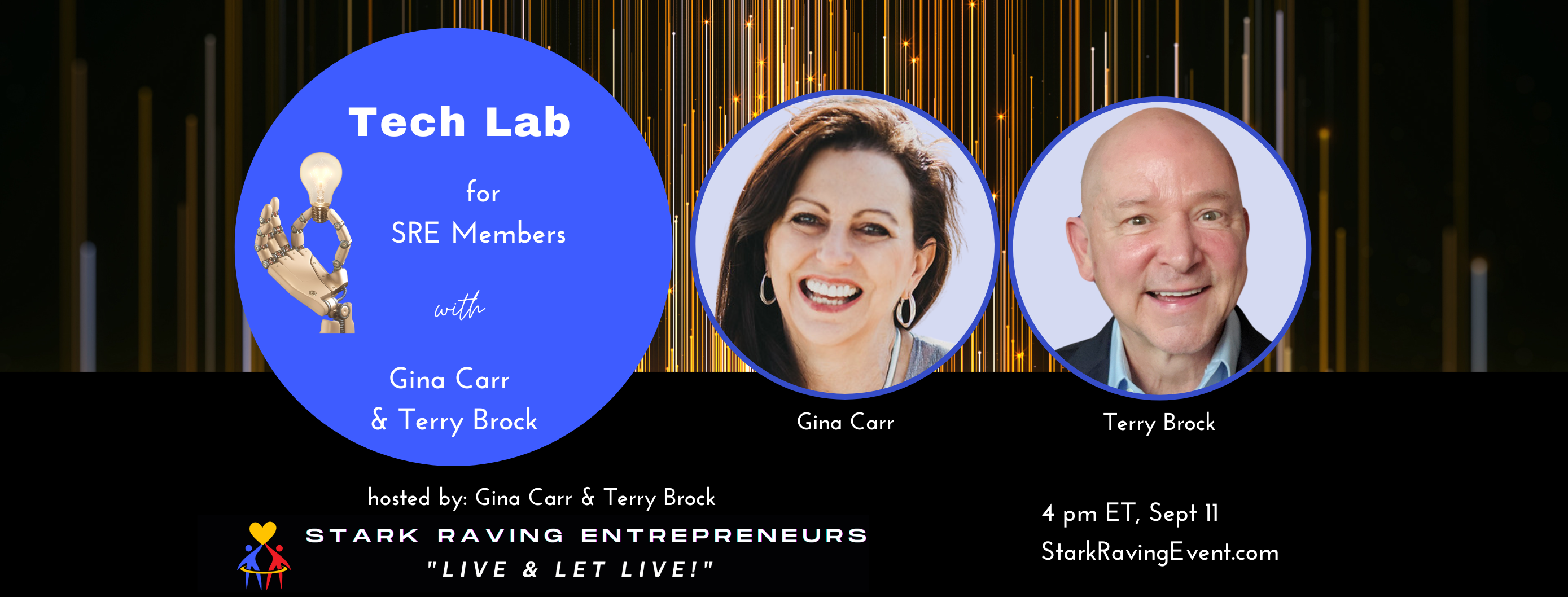 Stark Raving Entrepreneurs Weekly Power Session