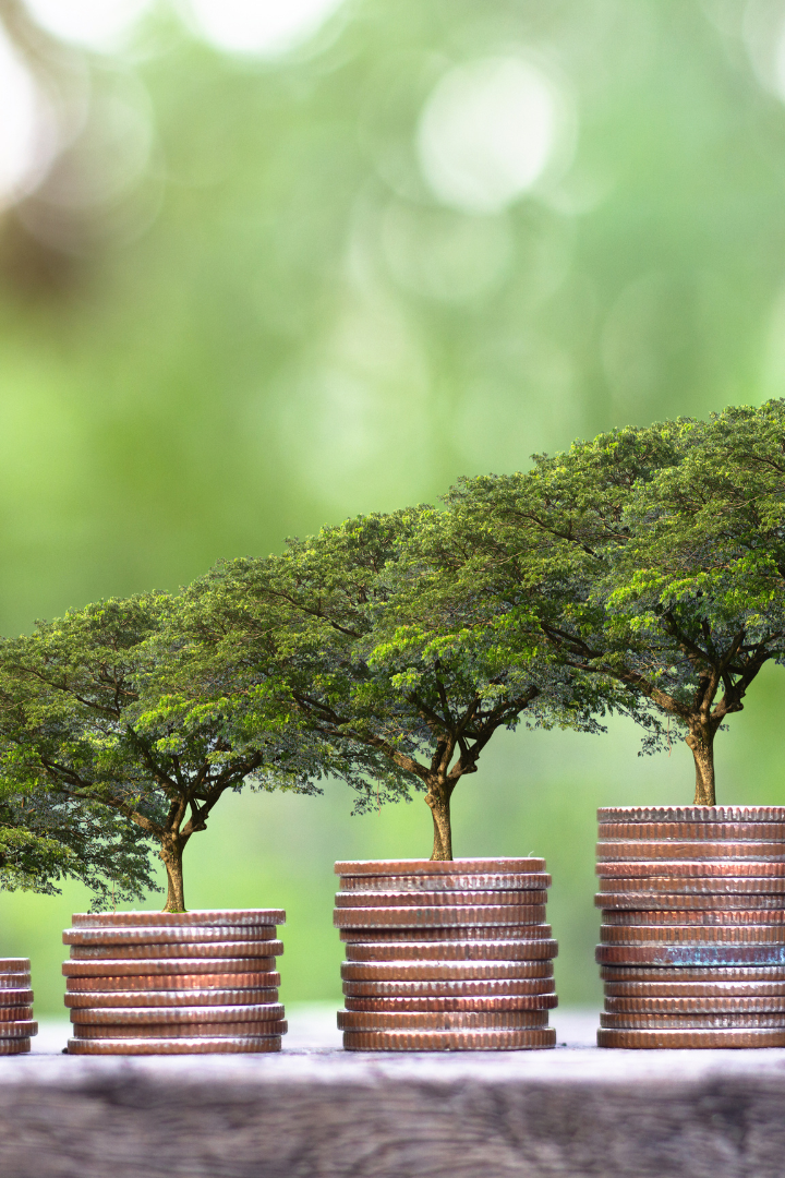 Trees growing on stack of coins