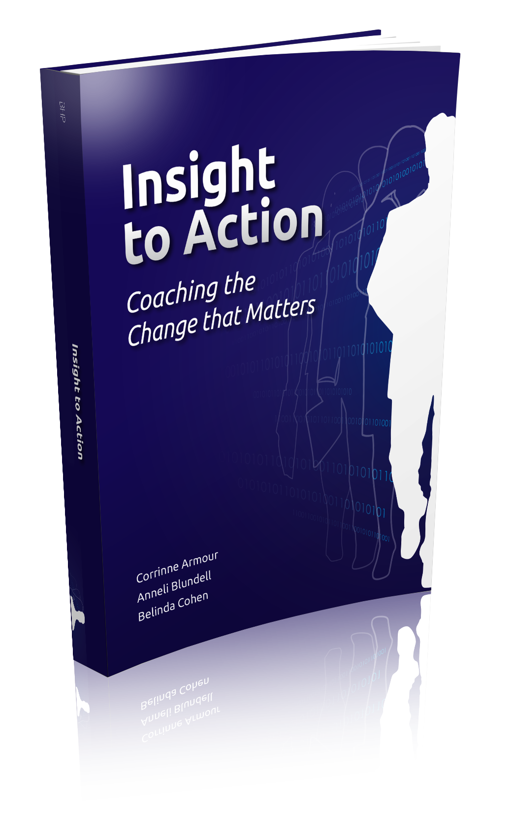 Anneli Blundell-Insight to Action Ebook