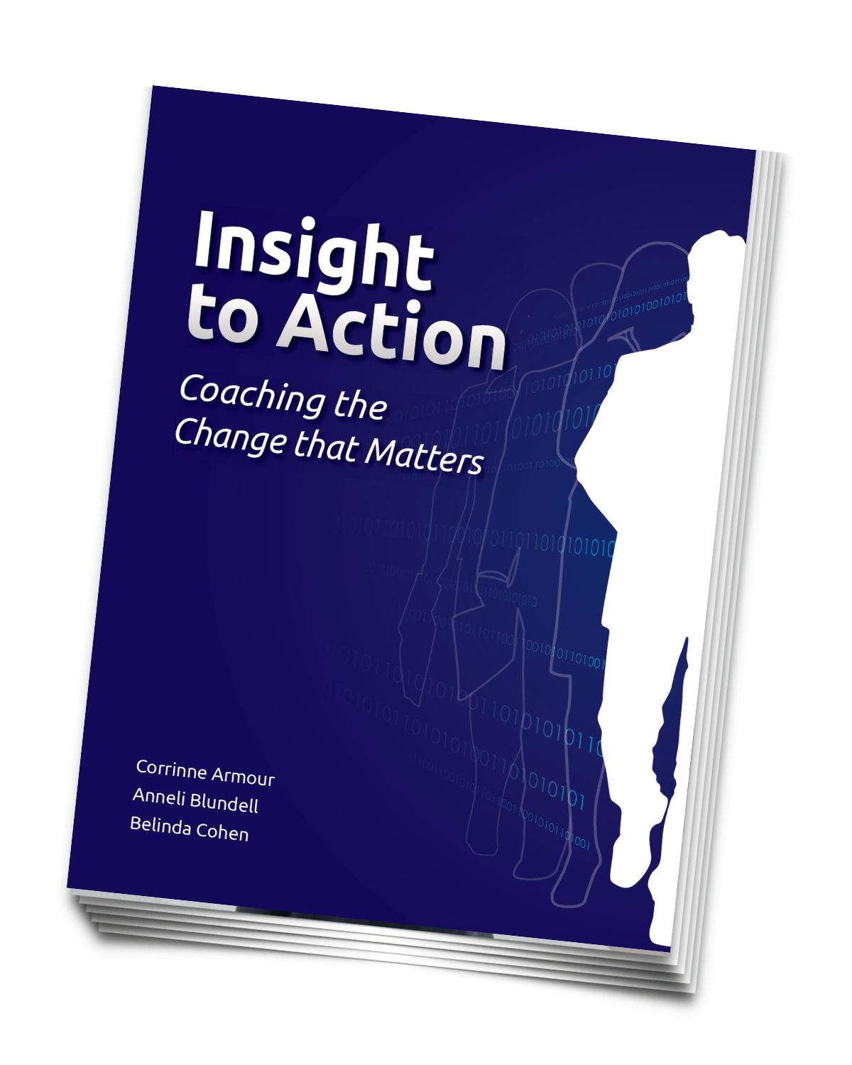 Anneli Blundell - Insight to Action Ebook