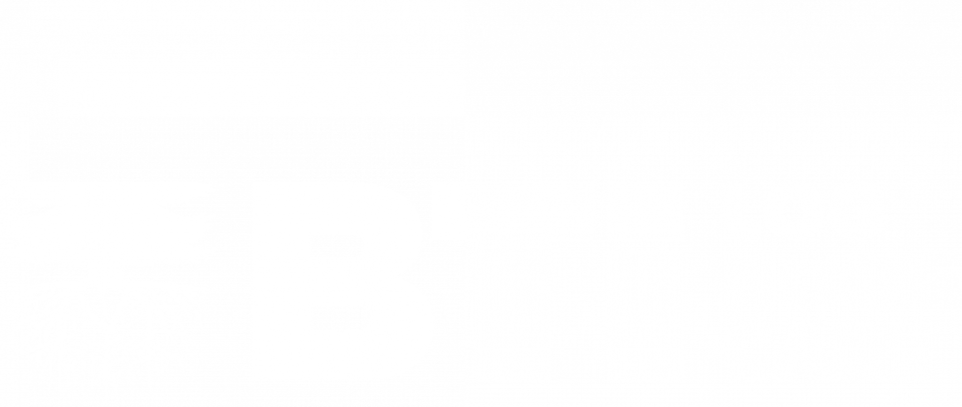 BTi Log Home Care Logo