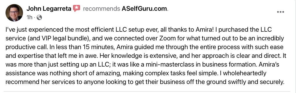 aselfguru legal templates review