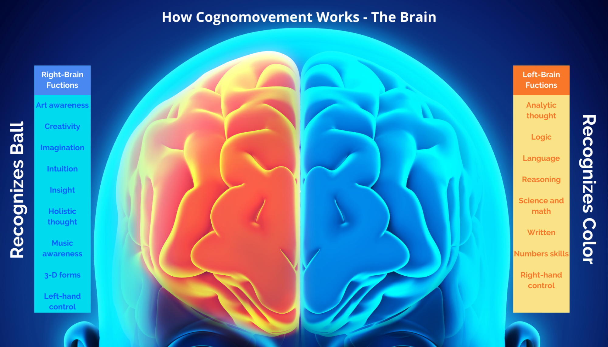 How Cognomovement accesses parts of the brain