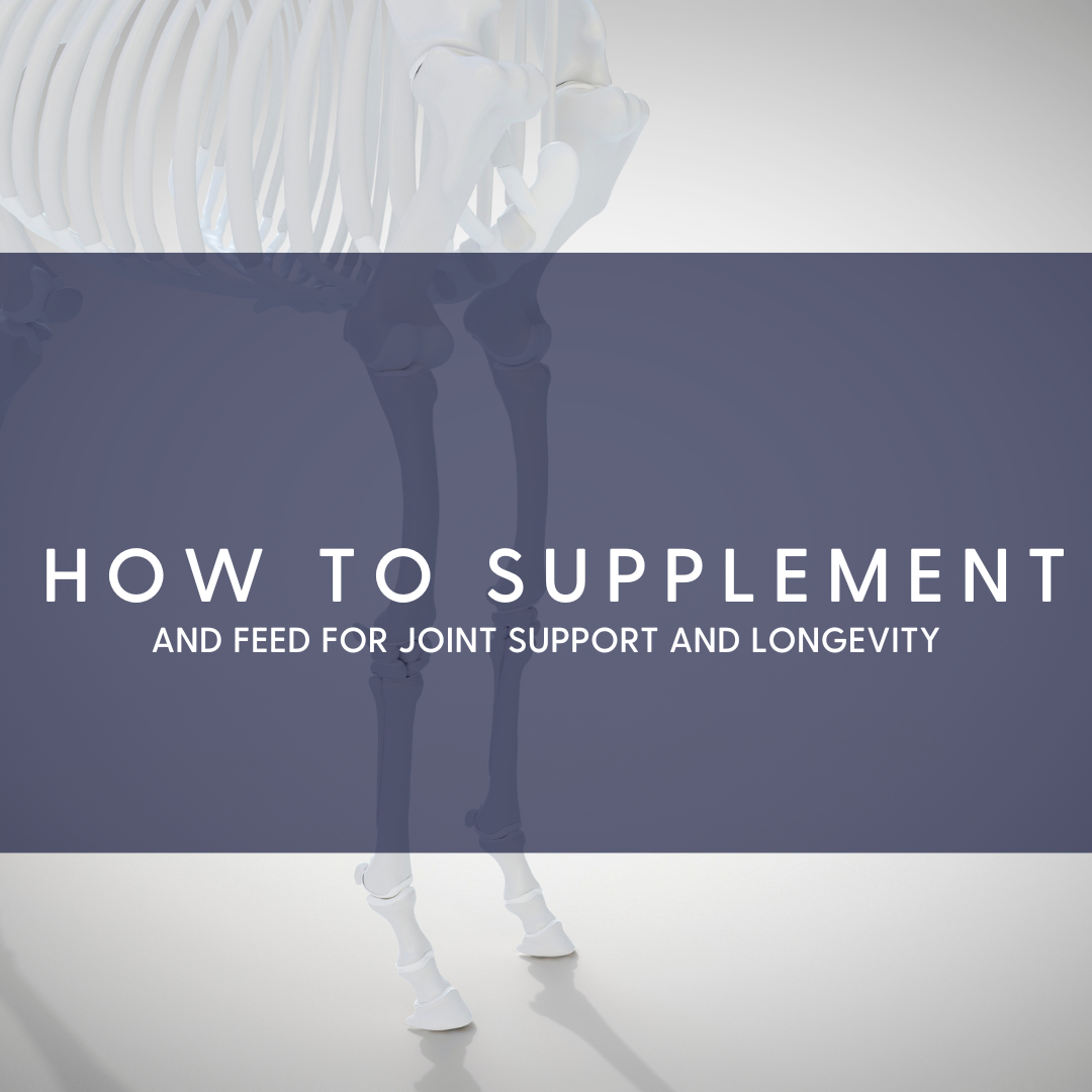 how to supplement horses for joint support