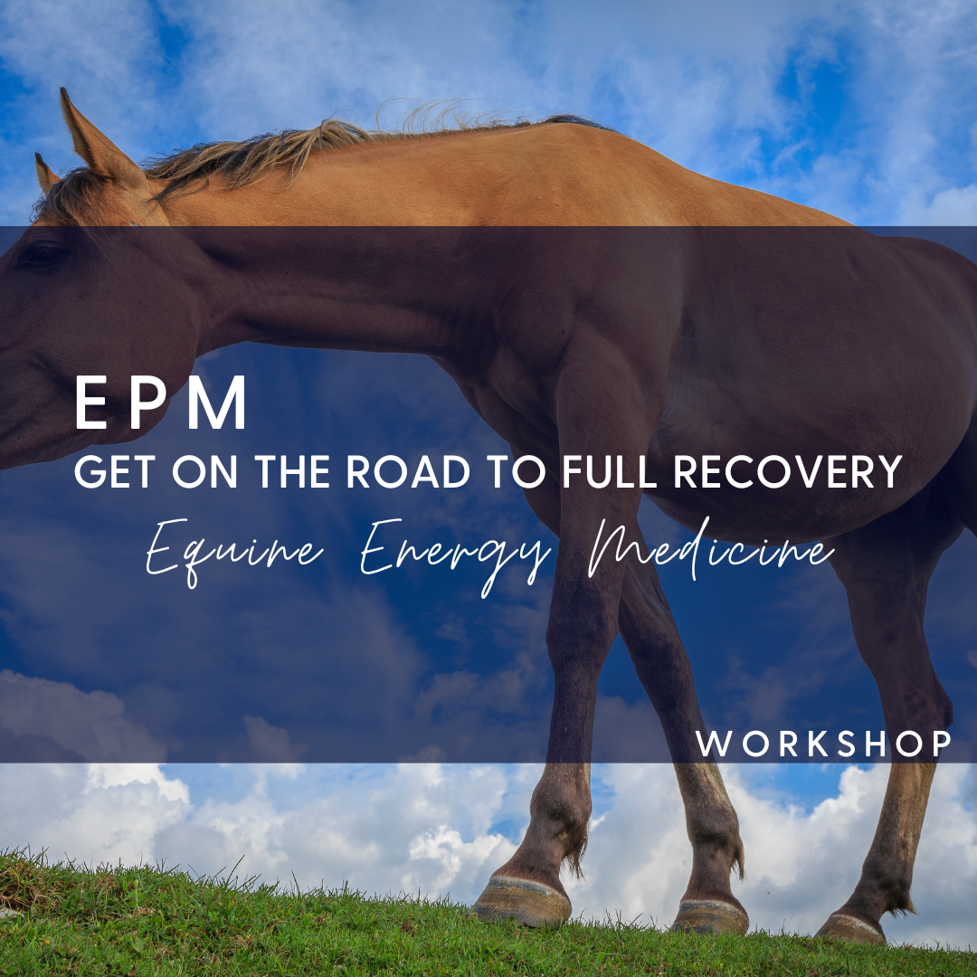 how to heal EPM