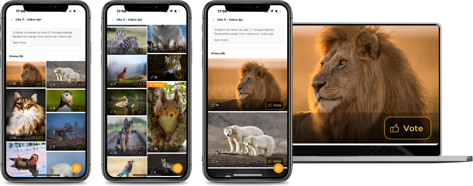 find photo locations around the world