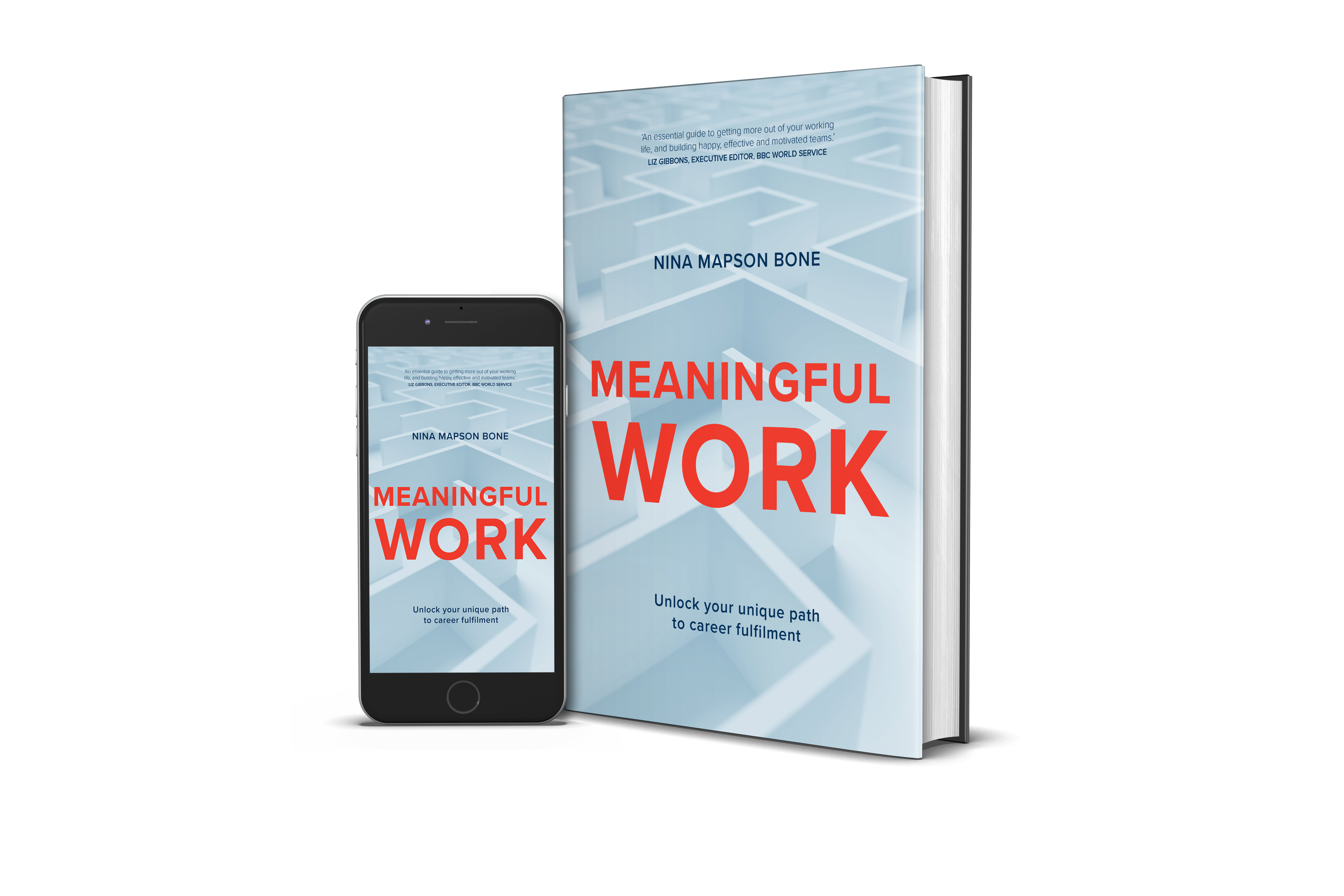 Meaningful Work book