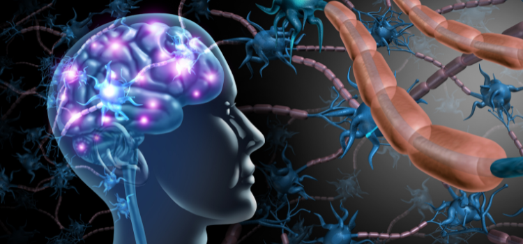 vagus nerve and mental health