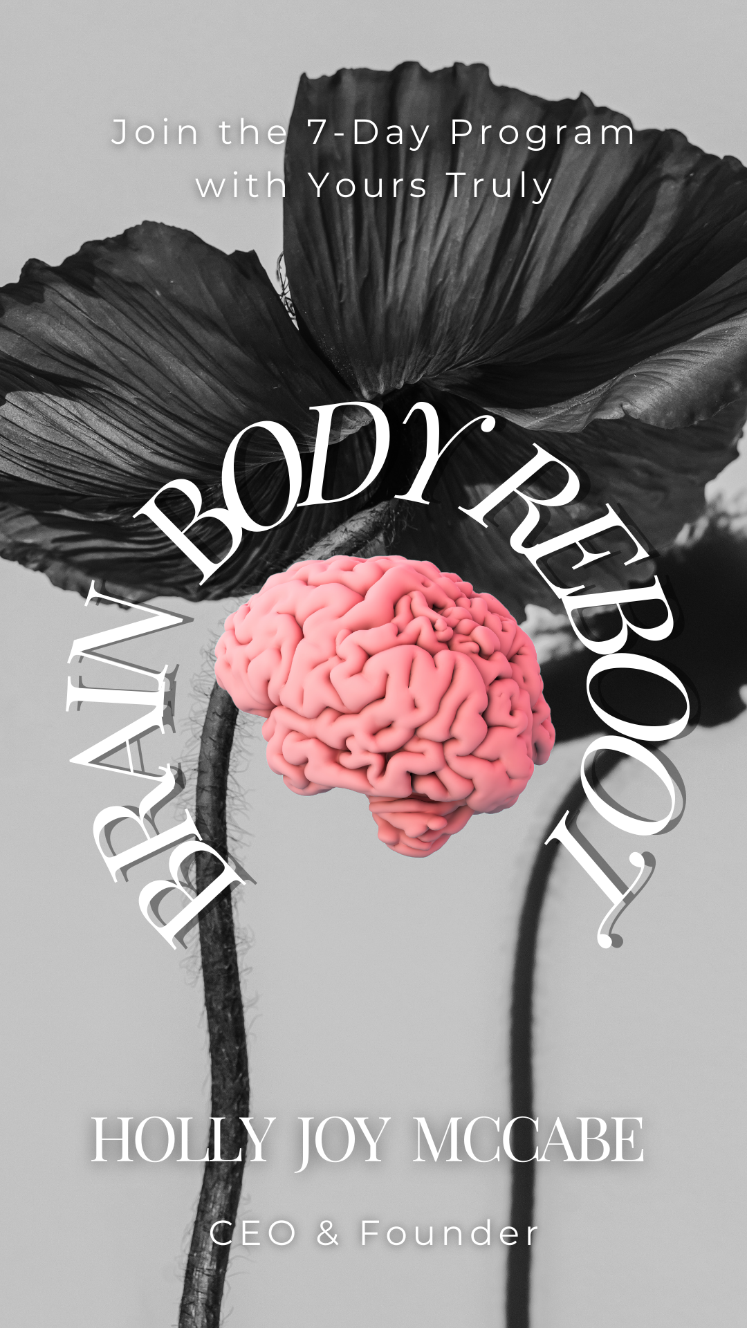 Brain Body Reboot