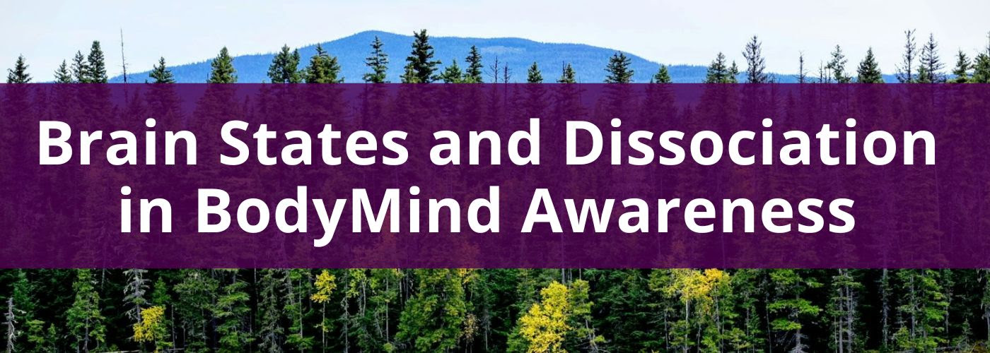 somatic psychology, somatics, psychology, psychotherapy