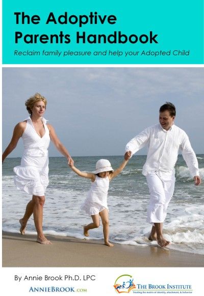 The Adoptive Parents Handbook by Annie Brook Reclaim family pleasure and help your adopted child