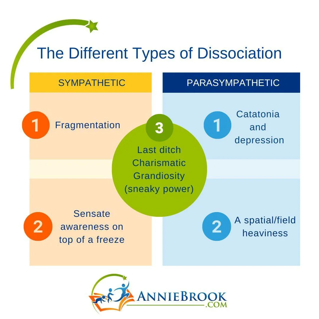Types of Dissociation 