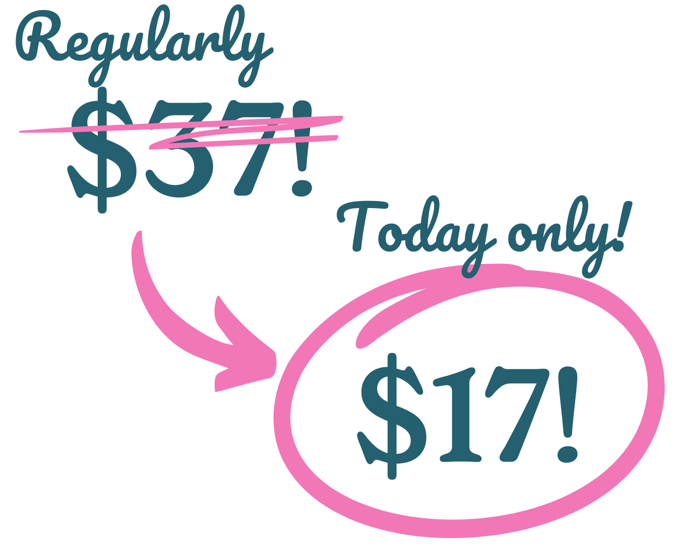strikethrough $37, now only $17