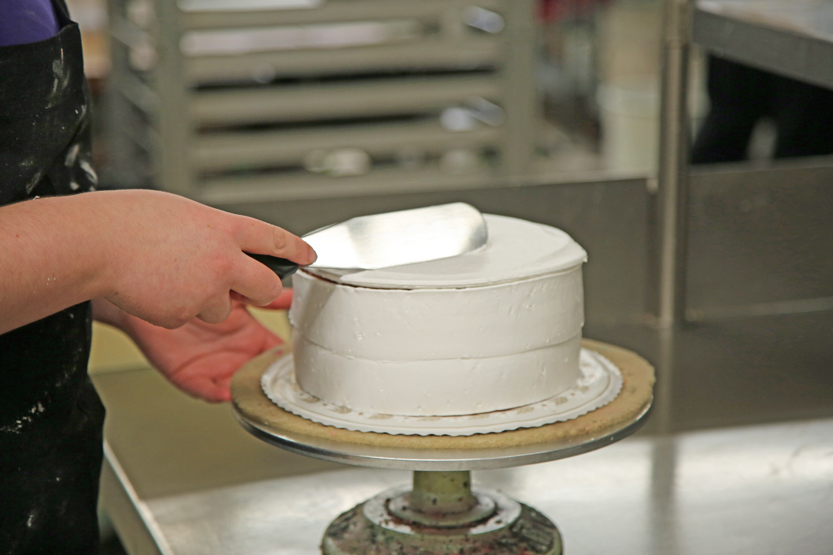 Employment Application