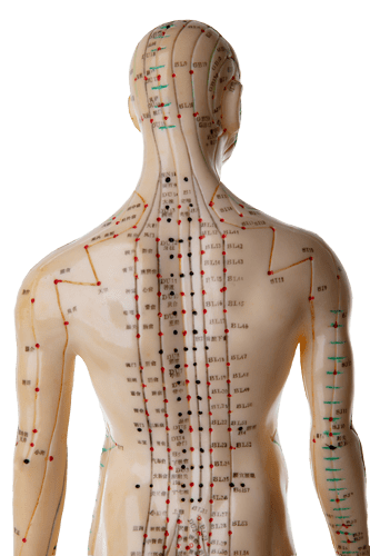 Complementary Medicine