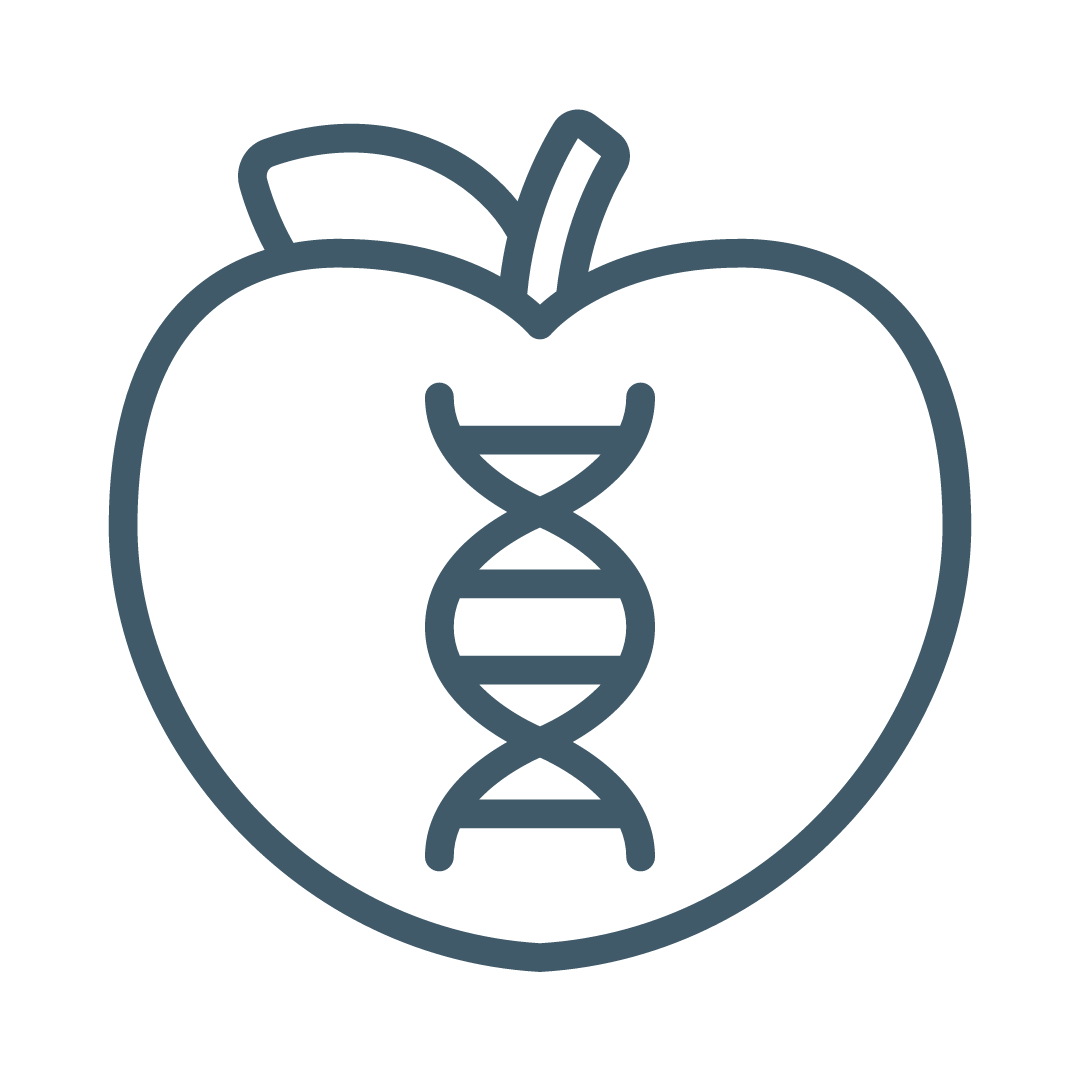 Apple with DNA strand inside for food science
