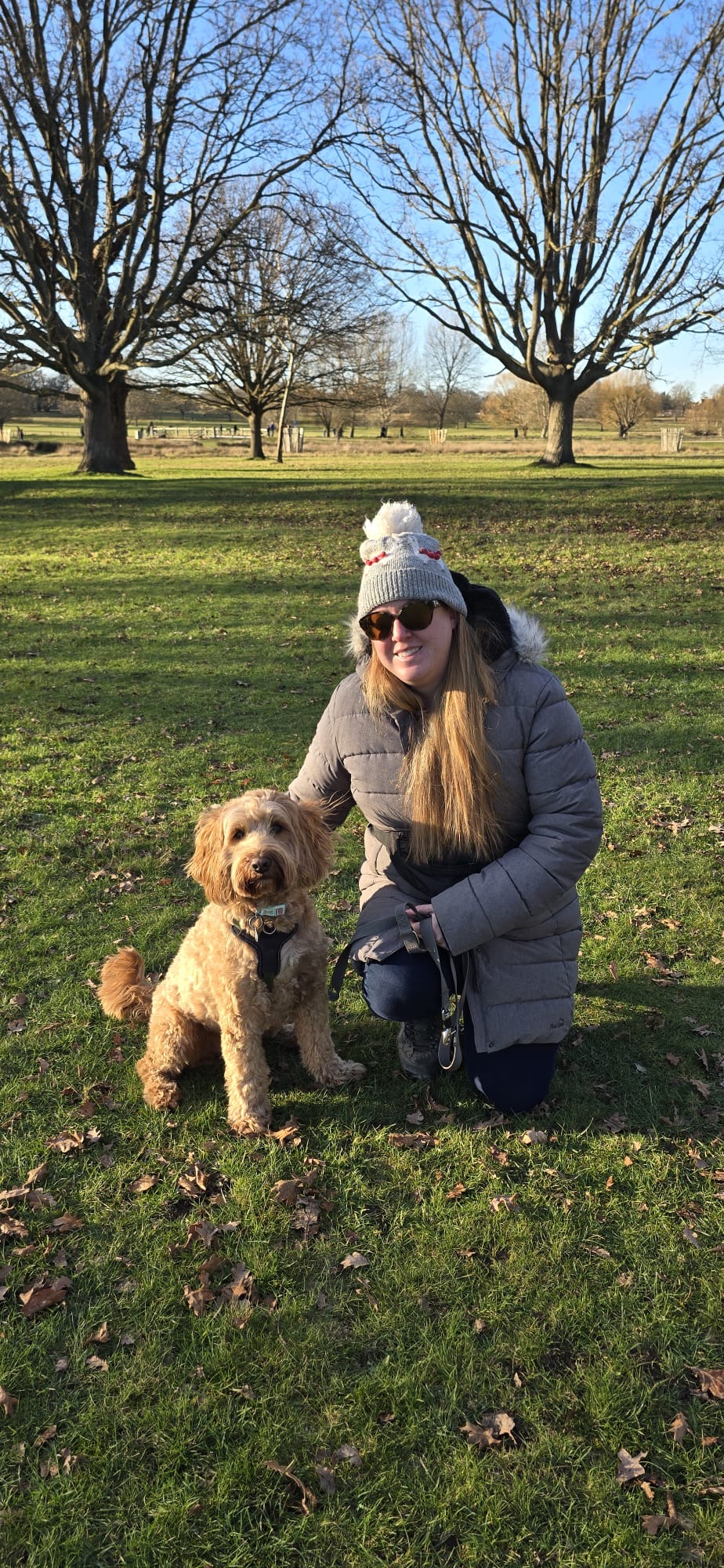 Lady with border collie dogs