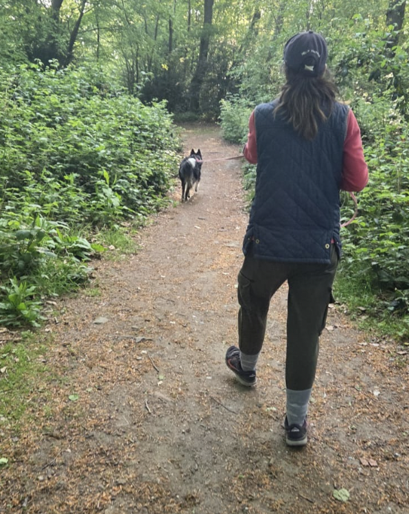 mantrailing dog classes in Epsom, Surrey