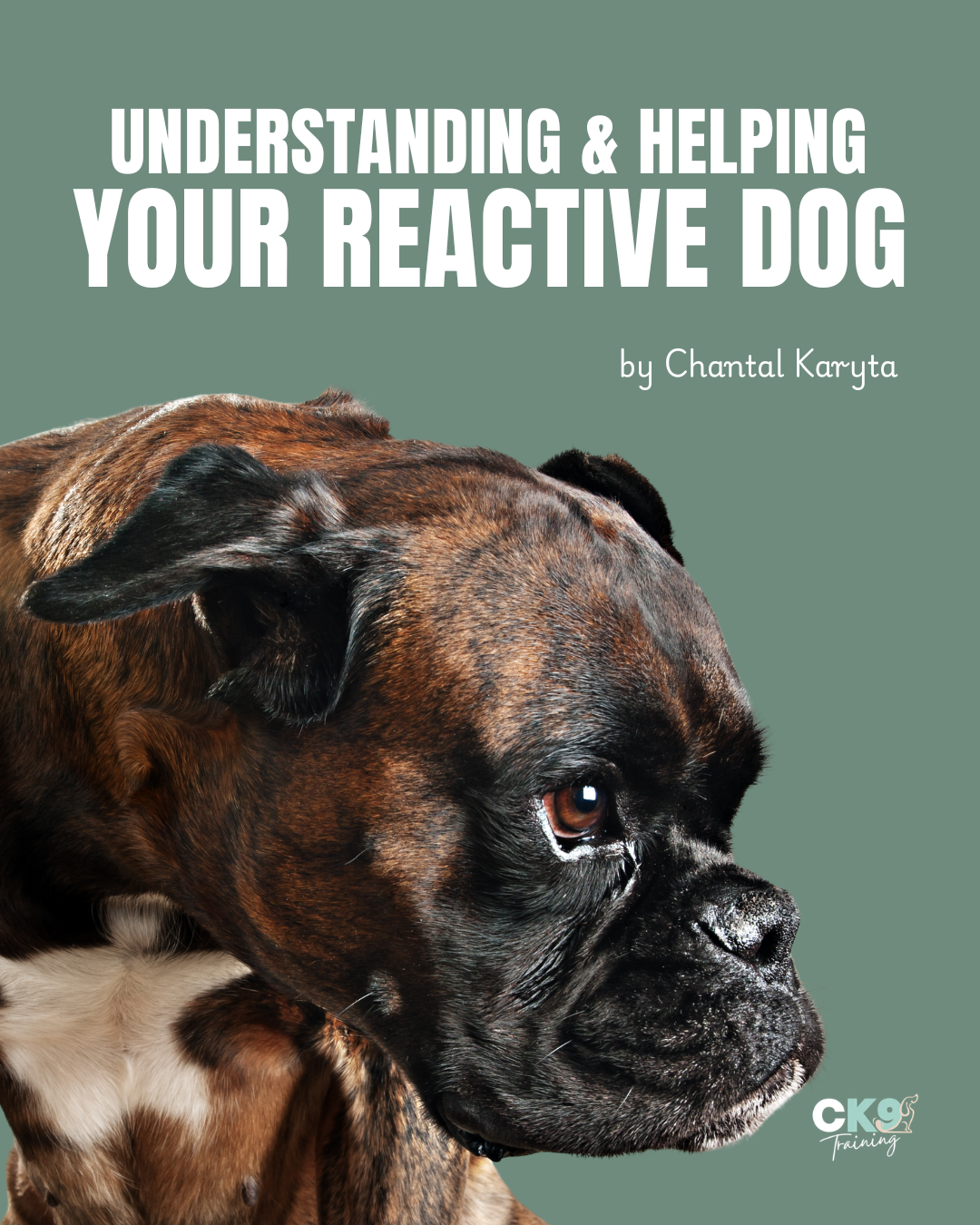 Reactive Dog Training Guide