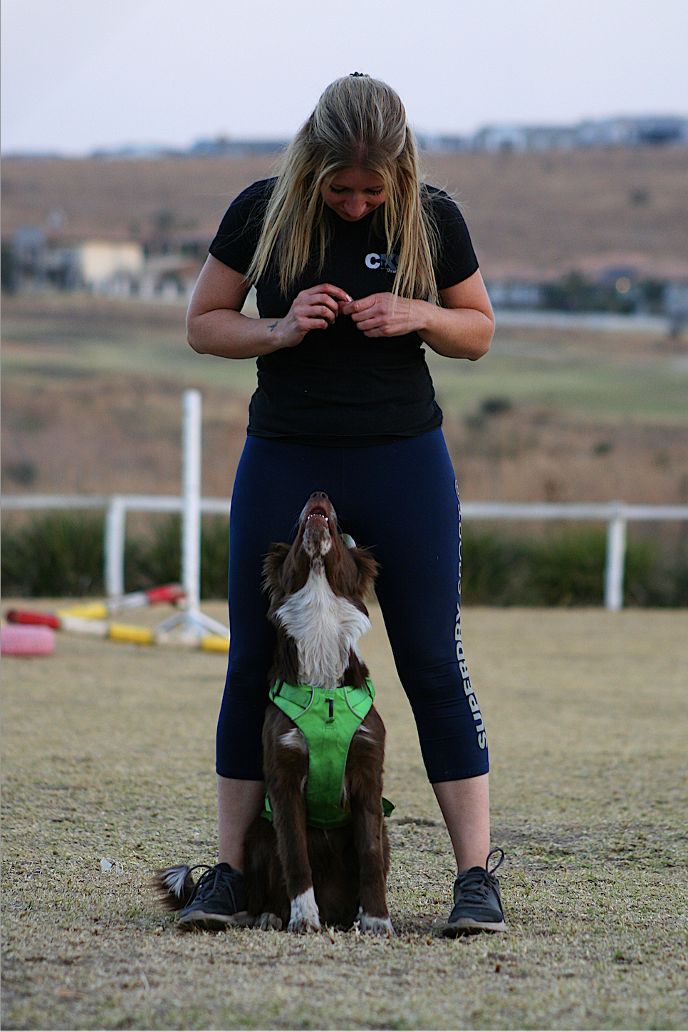 Girl with a Border Collie 