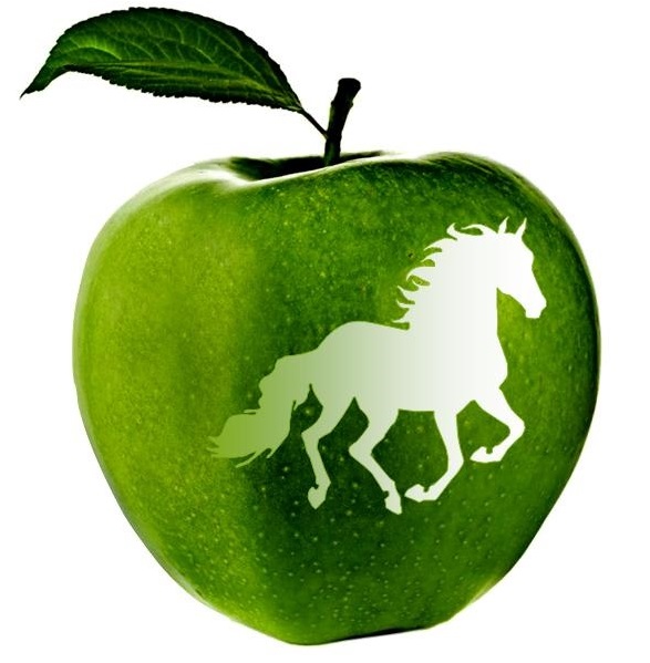 Confident Horse Feeding Course