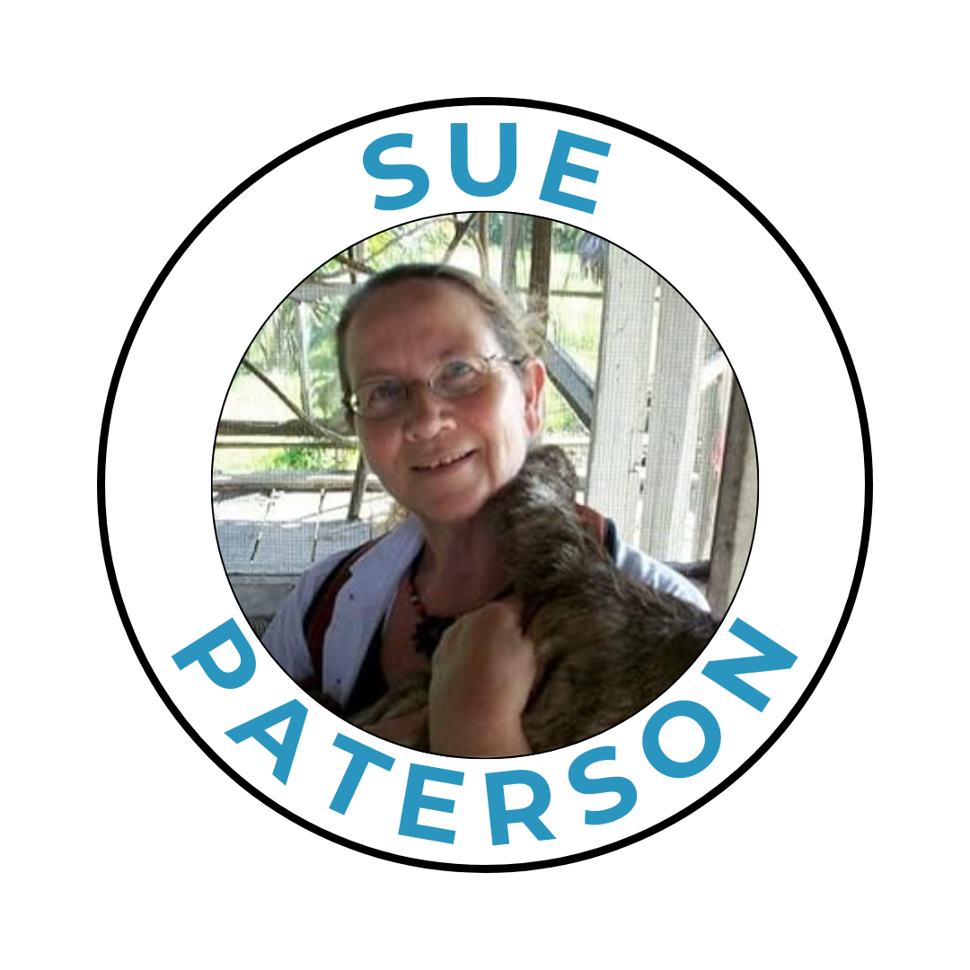Sue Paterson Headshot