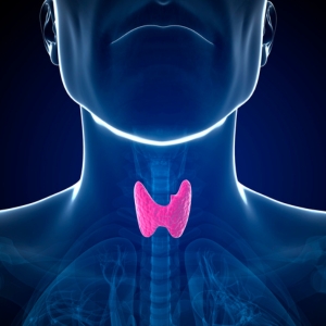 thyroid, hypothyroidism, hyperthyroidism, hashimoto's thyroiditis, grave's disease, thyroid disease, thyroid dysfunction