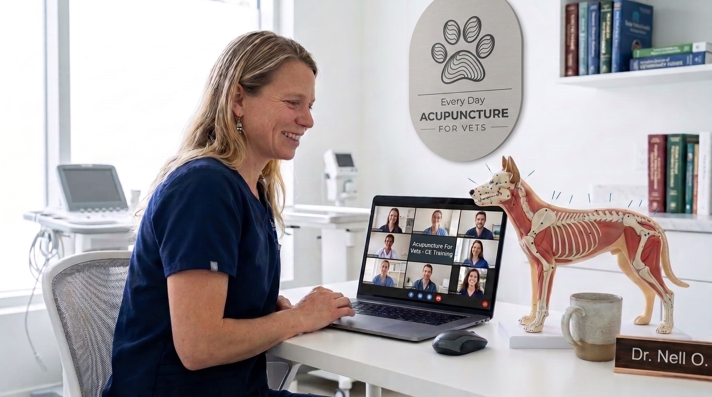 Every Day Acupuncture Mastermind