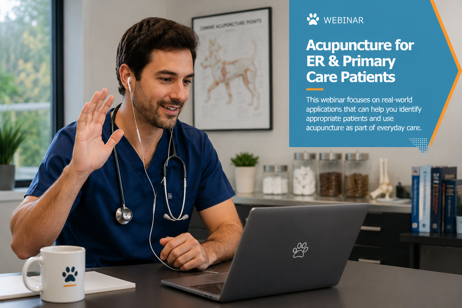 Acupuncture for ER & Primary Care Patients