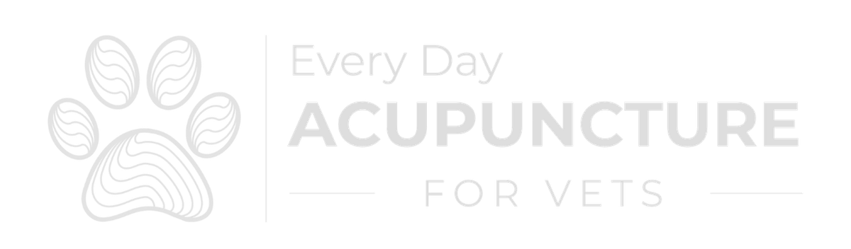 Every Day Acupuncture